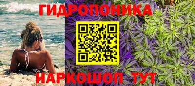 эйфоретик Канаш