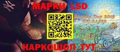 a pvp Камышлов
